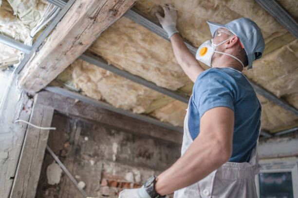 Best Cellulose Insulation in Oak Valley, NJ