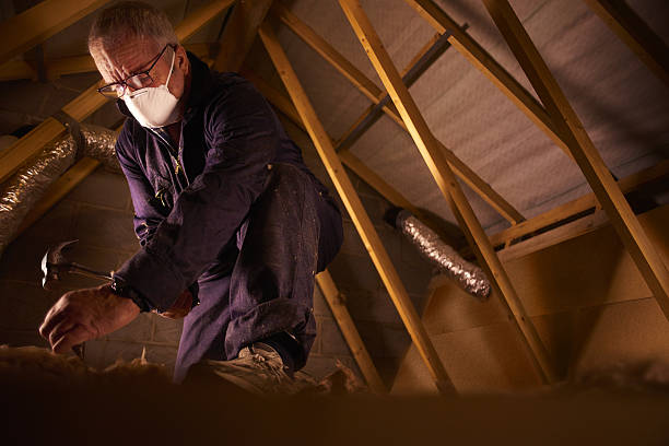 Best DIY Insulation Kits and Guidance in Oak Valley, NJ